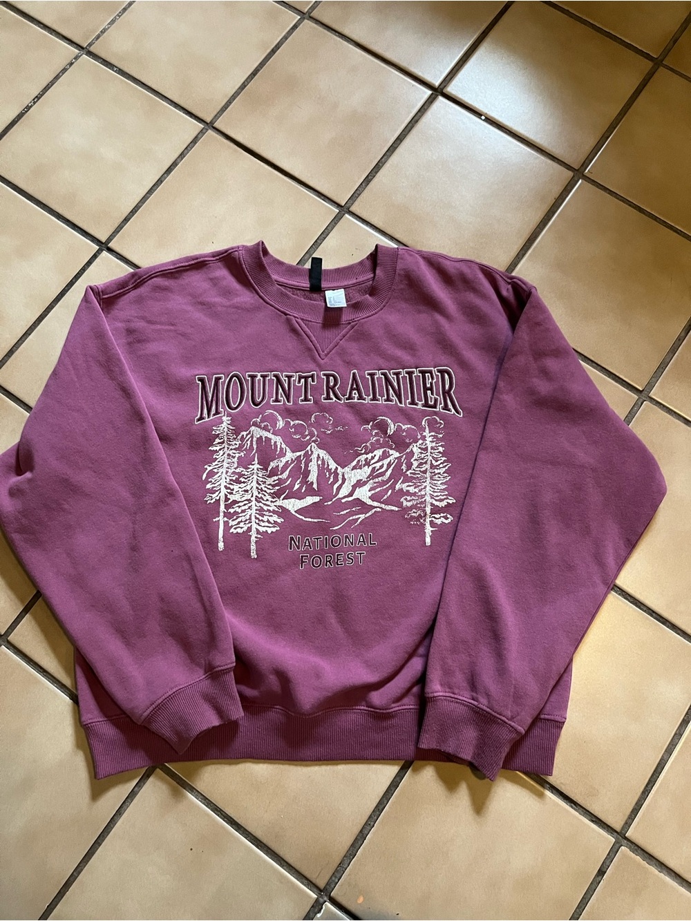 H&M Plum Crewneck Sweatshirt with Mount Rainier Graphic